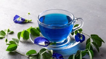 Sai lầm có thể gây độc khi pha trà hoa đậu biếc