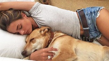 Phụ nữ ngủ với chó cảm thấy thoải mái hơn ngủ với...đàn ông!