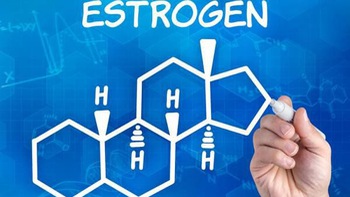'Estrogen bắt chước' ở ngay trong nhà bạn, hiểm họa cho sức khỏe