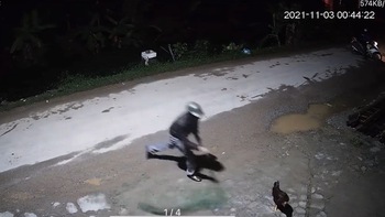 2 thanh niên giữa đêm cầm vợt bắt trộm gà
