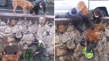 Cảnh sát giải cứu chú chó bị mắc kẹt dưới sông
