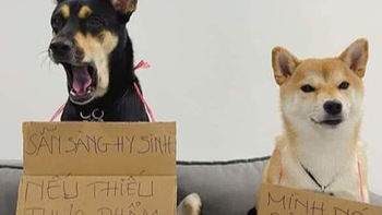 Ảnh vui 23/11: Chú chó sẵn sàng 'hi sinh' nếu chủ thiếu thực phẩm
