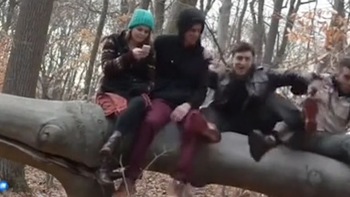 Chàng trai kéo cả nhóm bạn ngồi trên cây ngã lộn nhào