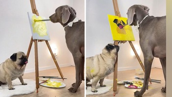 Chú chó trổ tài vẽ tranh
