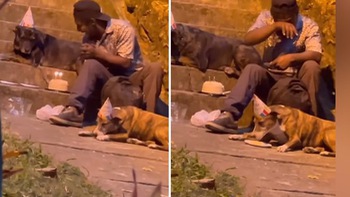 Chàng trai vô gia cư tổ chức sinh nhật cho 2 chú chó cưng