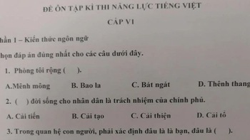 Đề thi năng lực tiếng Việt 'hại não' cho học sinh Nhật