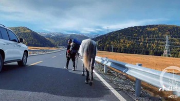 Thanh niên cưỡi ngựa vượt hơn 4.000km về quê cưới vợ