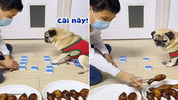 Sen bị chú chó lấy hết đùi gà