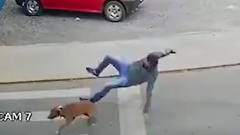 Người đàn ông đi bộ ngã dập mông vì bị chú chó quét trụ