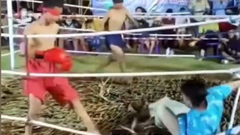 2 võ sĩ boxing bịt mắt đánh trọng tài lên bờ xuống ruộng