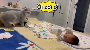 Chú mèo hú hồn khi em bé tỉnh giấc