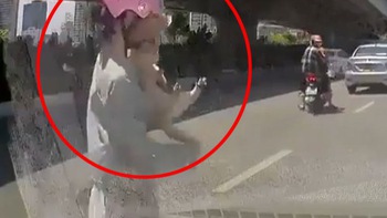 Cô gái 'ném xe' giữa đường chạy đi bắt mèo gây tranh cãi