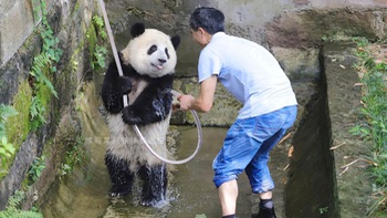 Ảnh vui 2/7: Lễ bàn giao xe cho ngay tại... lớp học