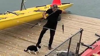 Cần thủ câu được con cá bị mèo cướp mất