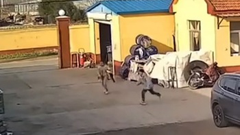 Hai chị em bỏ chạy thoát thân khi bị 'chó dữ' rượt đuổi
