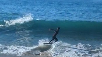 Chàng trai lướt ván ngoài biển hú hồn khi thấy cá mập