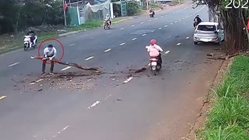 Tài xế dừng ôtô để ôm khúc gỗ vào lề đường tránh gây tai nạn