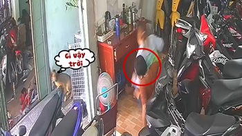 Chú chó hú hồn bỏ chạy khi vợ chồng gia chủ ngồi sập ghế