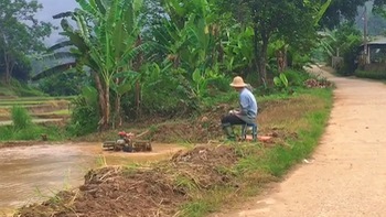 Máy cày tay điều khiển dành cho người lười lội ruộng