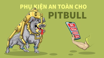 Trang bị an toàn cho pitbull