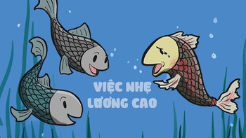 Này các ông ơi, tôi có việc này nhẹ nhàng mà lương cao lắm!