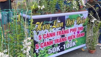 Ảnh vui 27-9: Lan đột biến - Gỡ được đồng nào hay đồng đấy!