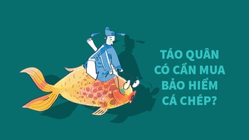 Táo Quân có cần mua bảo hiểm cá chép?