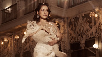 Chi Pu hóa thân thành 'Nữ hoàng của loài mèo'
