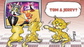 Quý Mão bị cấm xem Tom & Jerry