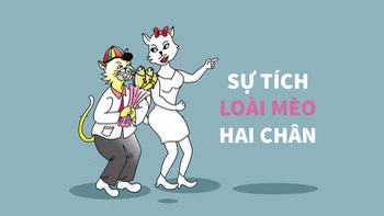 Sự tích loài mèo hai chân