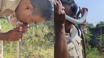Cảnh sát hồi sức cho rắn bằng hô hấp nhân tạo
