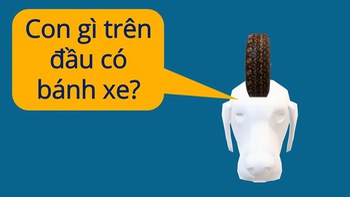 Câu đố hack não: Con gì trên đầu có bánh xe?