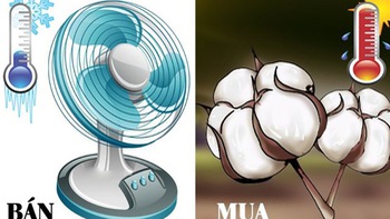 IQ cao có đoán được đây là câu tục ngữ, thành ngữ gì? (P12)