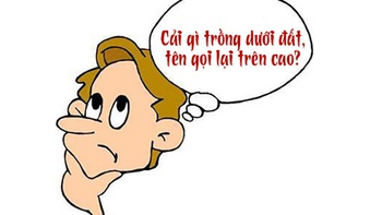 Câu đố hack não: Cải gì trồng dưới đất, tên gọi lại trên cao?