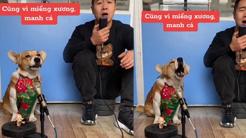 Chú chó hát song ca cùng ông chủ