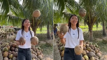 Huỳnh Như trổ tài tung hứng dừa
