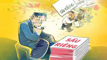 Nỗi 'sầu riêng' của bất động sản