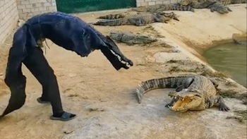 Chàng trai rảnh rỗi sinh nông nổi vào chuồng đi hù cá sấu