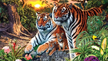 Chỉ thiên tài mới thấy 16 con hổ ở trong tranh?