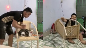 Chàng trai nhận 'quả báo' vì cướp ghế của mèo cưng
