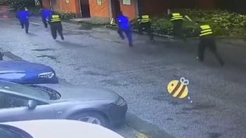 Đám đông bỏ chạy vì nhân viên bảo vệ chọi tổ ong vò vẽ