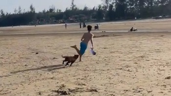 Chú chó nổi quạu rượt chàng trai chạy trối chết khi chơi 'bóng ma'