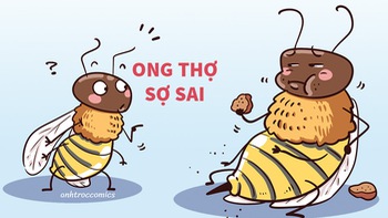 Chú ong thợ sợ làm sai