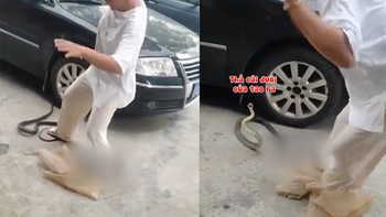 Video hài nhất tuần qua: Con rắn hoảng sợ khi cô gái la hét