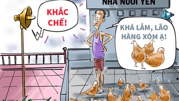 'Táo bạo' khắc chế nhà nuôi chim yến trong đô thị