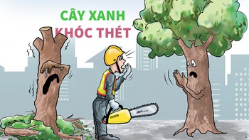 Cây xanh đô thị khóc thét vì style đầu đinh