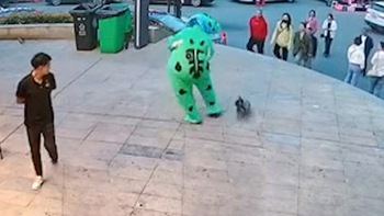 Chàng trai 'ếch xanh' nhảy loạn xạ vì tưởng cún con rượt cắn mình