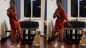 Video hài nhất tuần qua: Chú chó hát cho cô chủ nhảy vũ điệu Làng lá