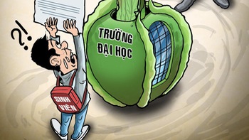 Thu sai 37 tỉ đồng học phí nhưng không trả lại sinh viên mà... nộp vào ngân sách