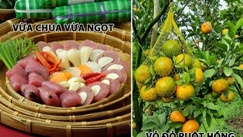 Đuổi hình bắt chữ: Đây là tên tỉnh thành nào nước ta? (P9)